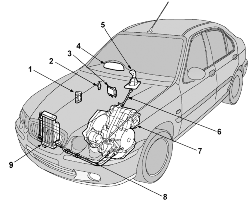 Cvt mg zs.png