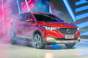Mg-zs-web.jpg