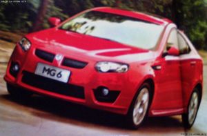 Mg6-hatch.jpeg