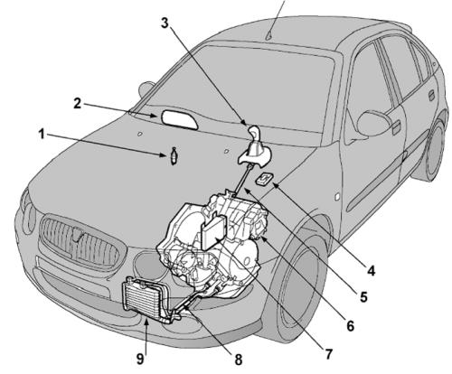 Cvt mg zr.png